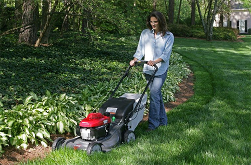 What Should You Notice Of Your Best Push Lawn Mower?